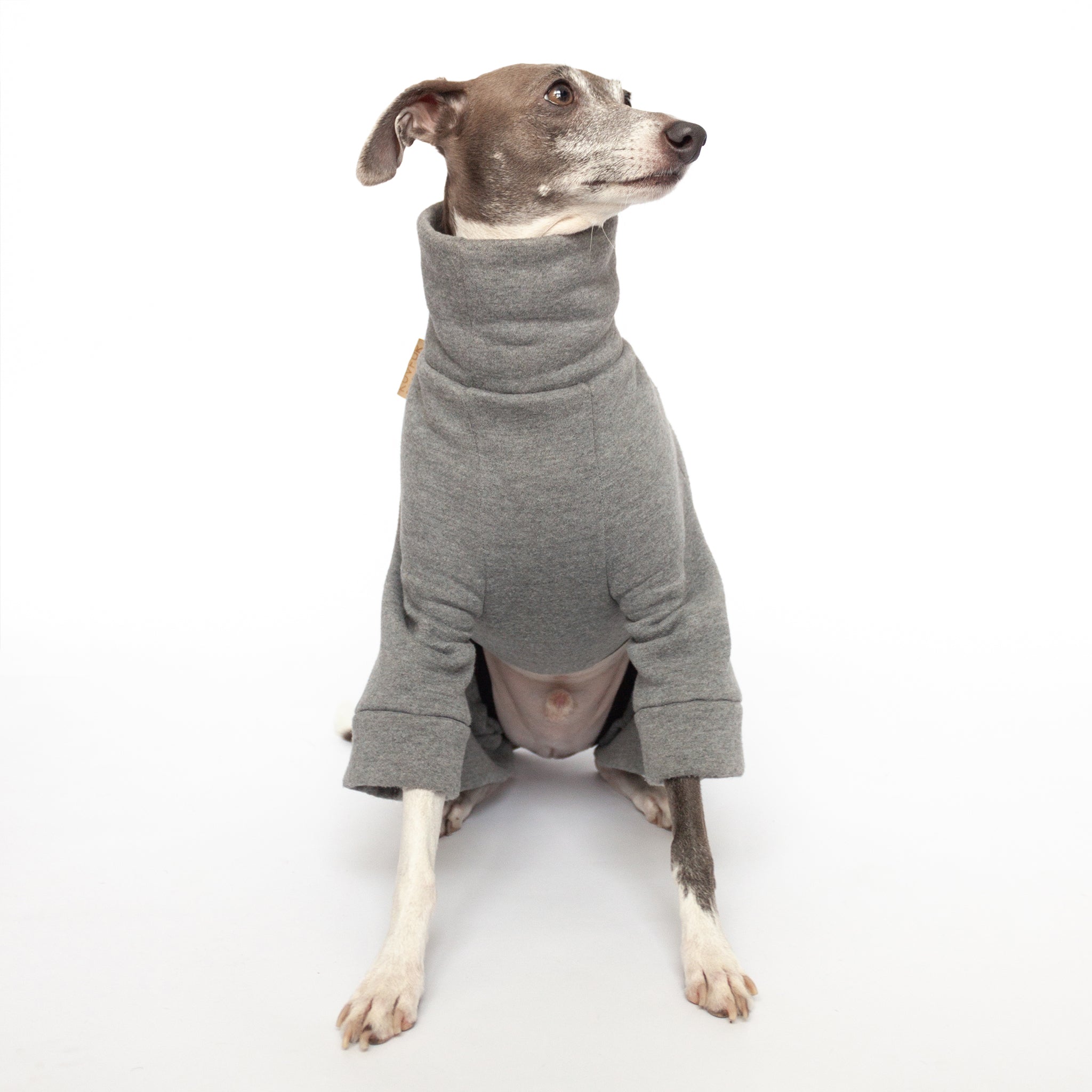 Tracksuit Dog Onesie - Medium Grey