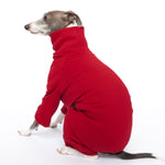 red tracksuit dog pajamas - italian greyhound 