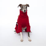 red tracksuit dog pajamas - italian greyhound 