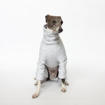 italian greyhound sitting in kuvfur dog pajamas tracksuit jogger grey