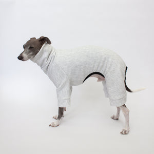 italian greyhound standing in kuvfur dog pajamas tracksuit jogger grey