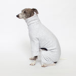 italian greyhound sitting in heathered grey tracksuit dog pajamas