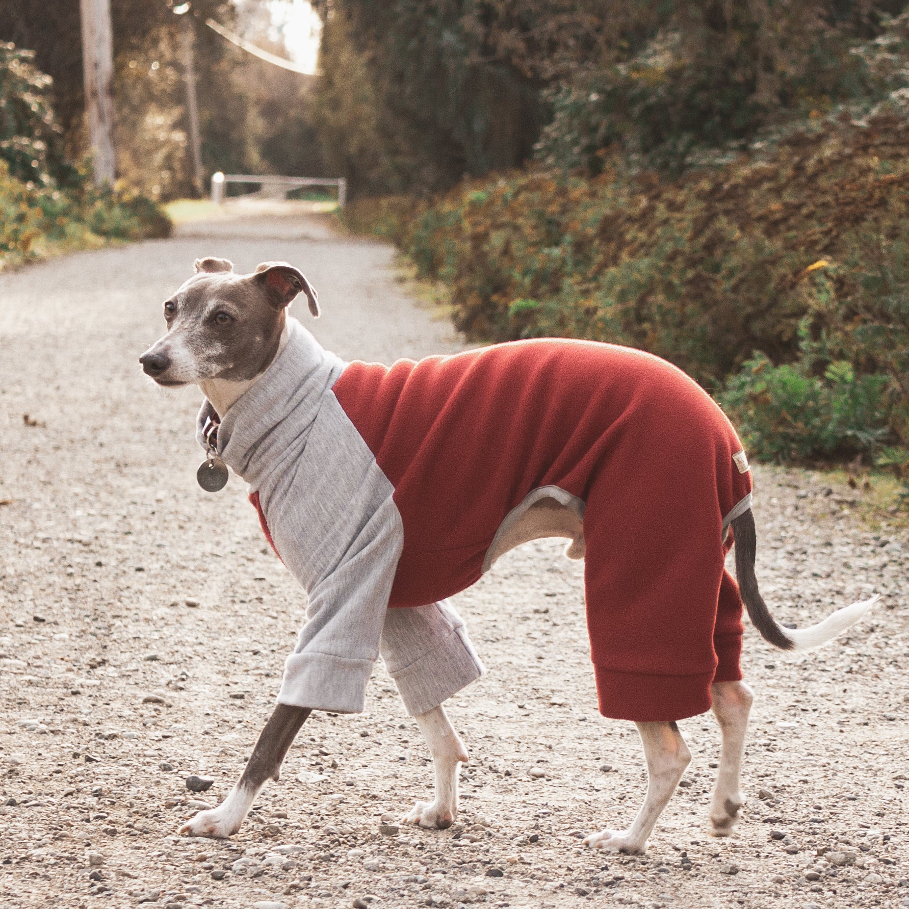 Fleece Dog Onesie - Red & Grey