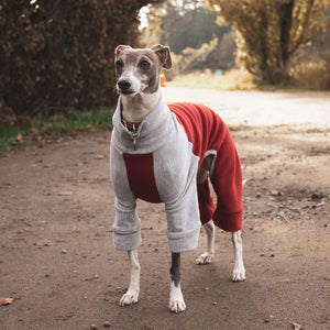 Fleece Dog Onesie - Red & Grey