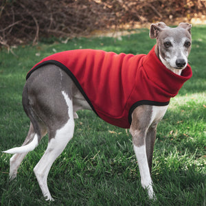 italian greyhound sweater red