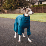 Fleece Dog Onesie - Teal