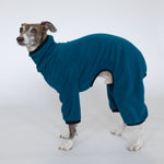 italian greyhound in fleece dog pajamas blue teal