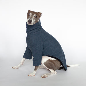 italian greyhound wearing dog sweater with long front sleeves and turtle neck in blue