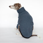 italian greyhound wearing dog sweater with long front sleeves and turtle neck in blue