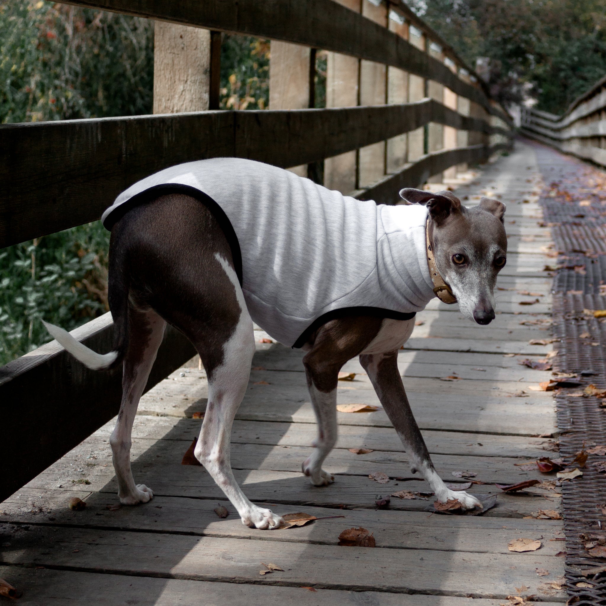 Sleeveless Dog Sweater - Light Grey